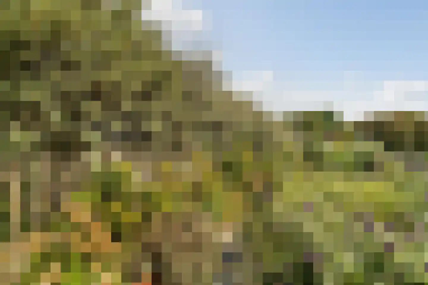 Santhorsthof 54 Monster thumbnail 32