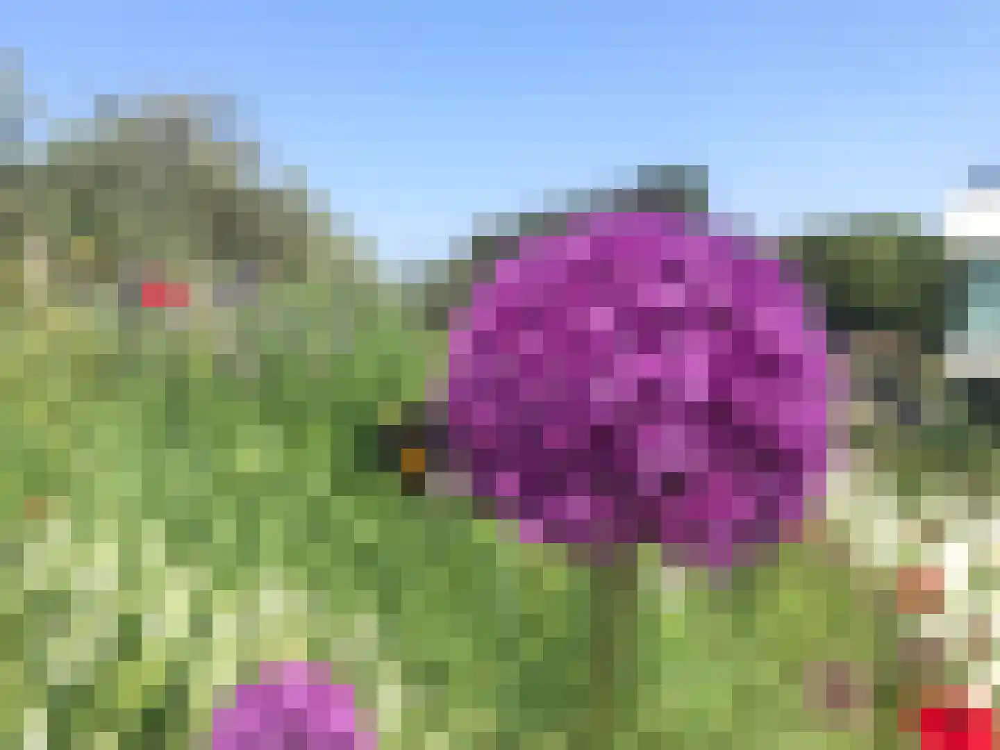 Santhorsthof 54 Monster thumbnail 33