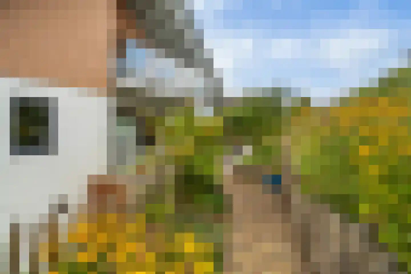 Santhorsthof 54 Monster thumbnail 35
