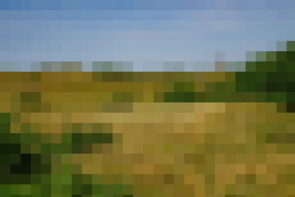 Santhorsthof 54 Monster thumbnail 38