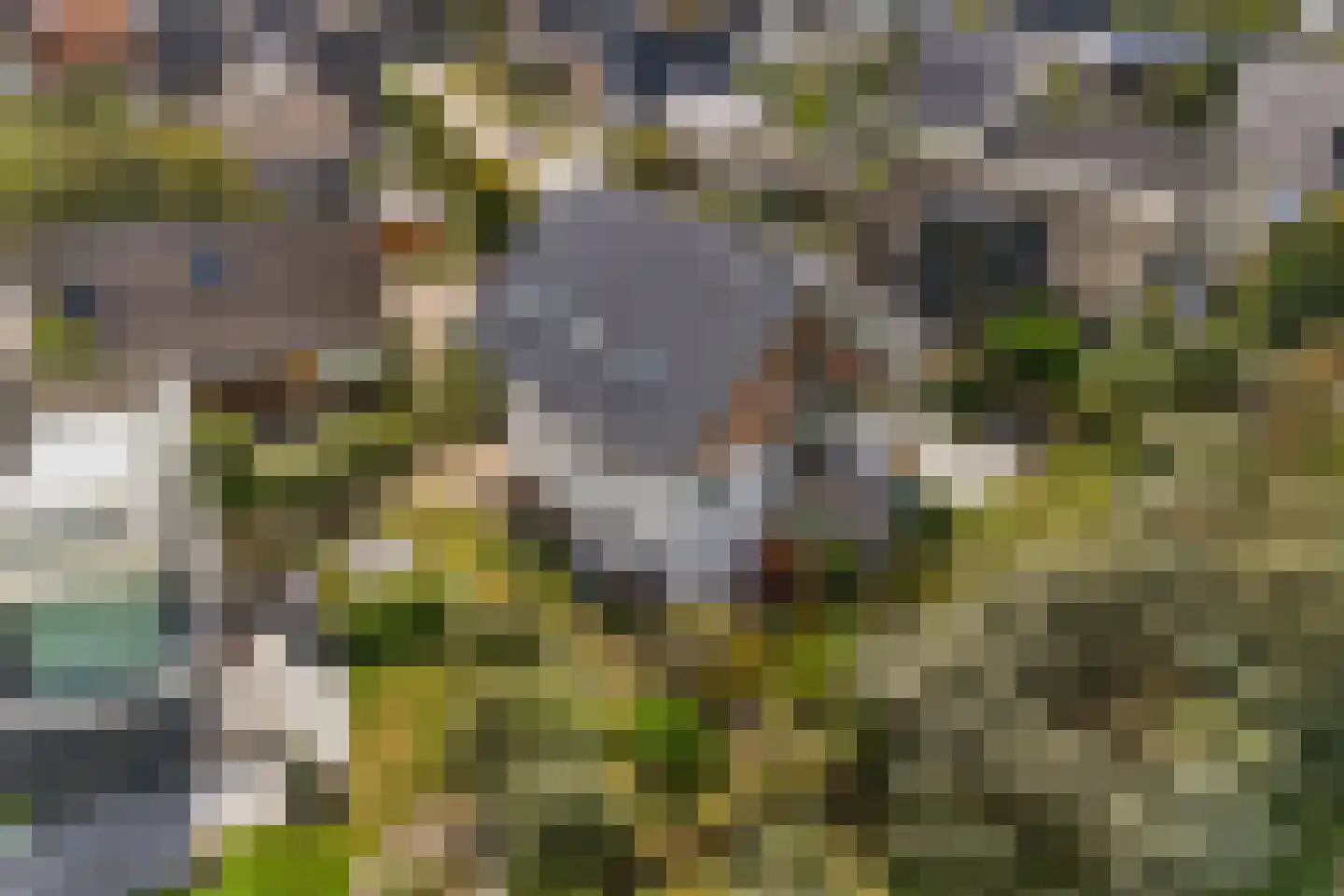 Santhorsthof 54 Monster thumbnail 40