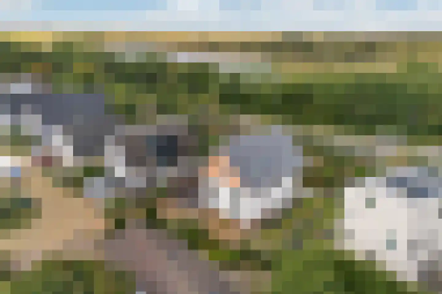 Santhorsthof 54 Monster thumbnail 41