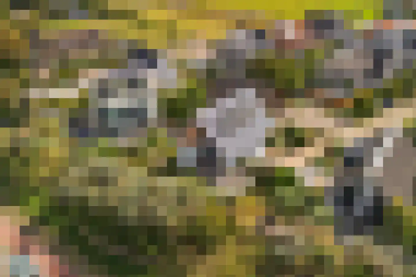 Santhorsthof 54 Monster thumbnail 42