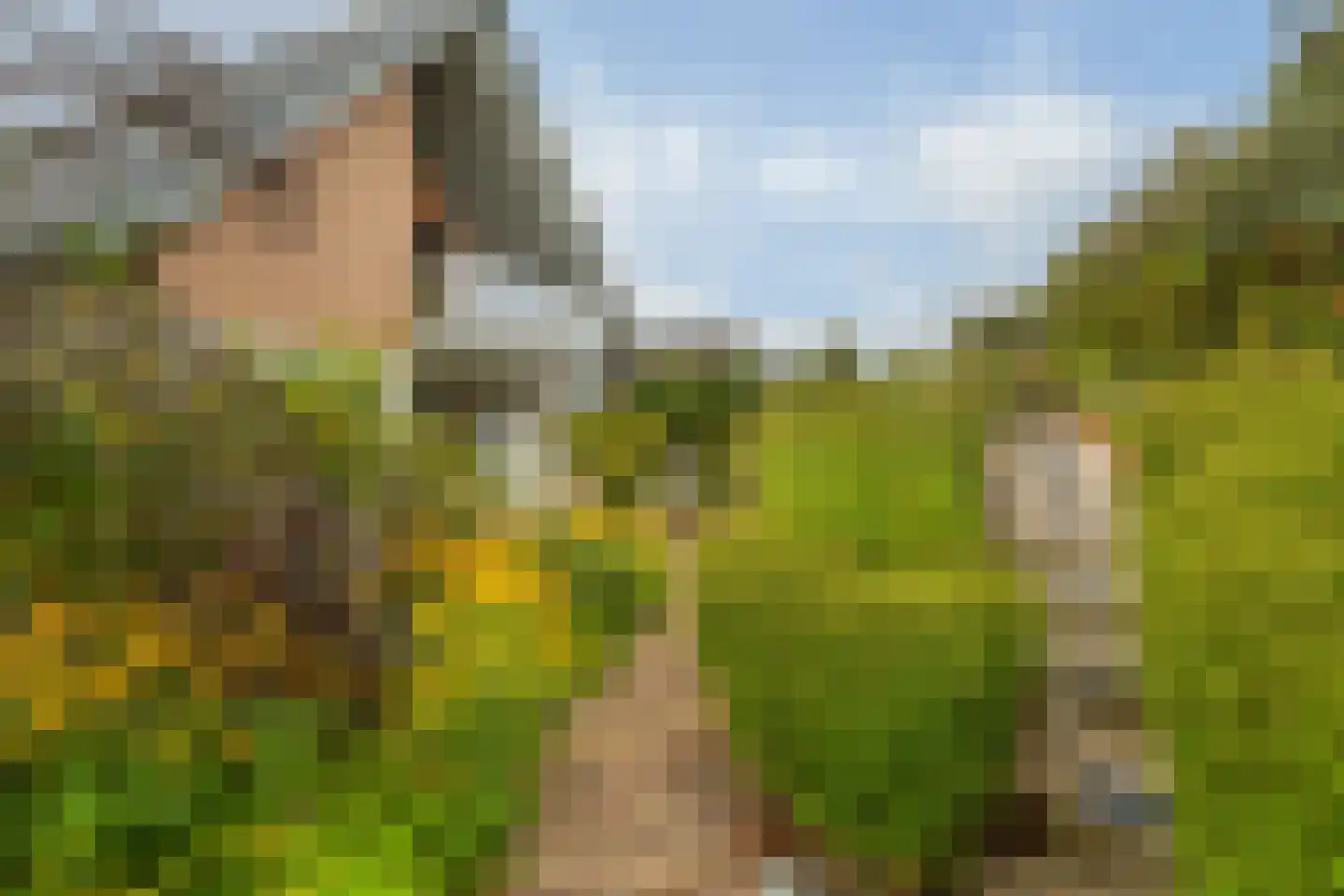 Santhorsthof 54 Monster thumbnail 5