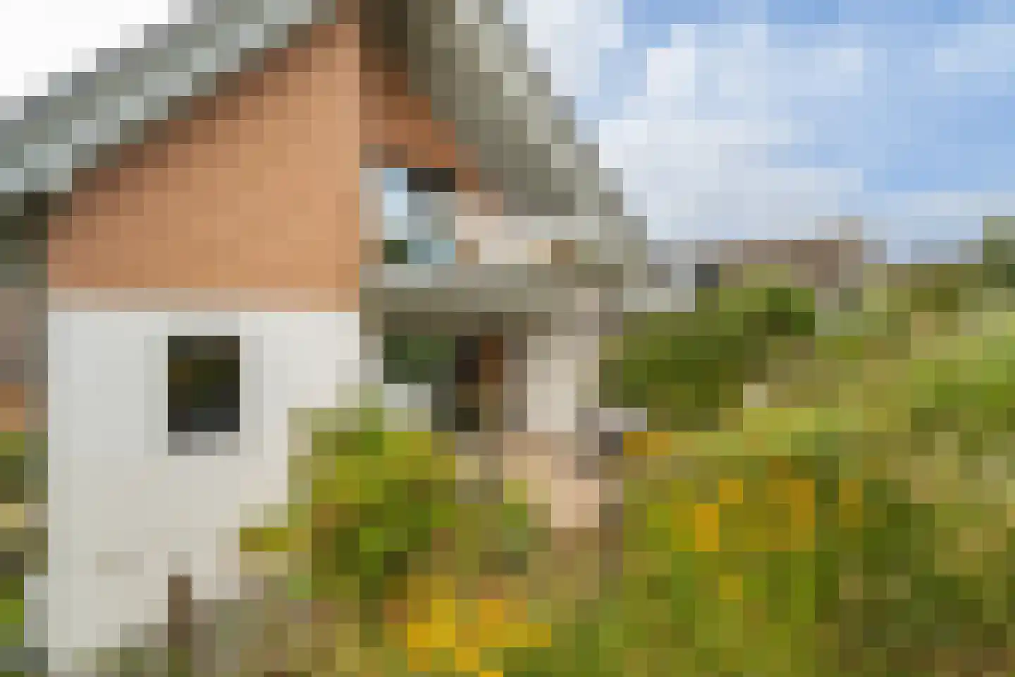 Santhorsthof 54 Monster thumbnail 59