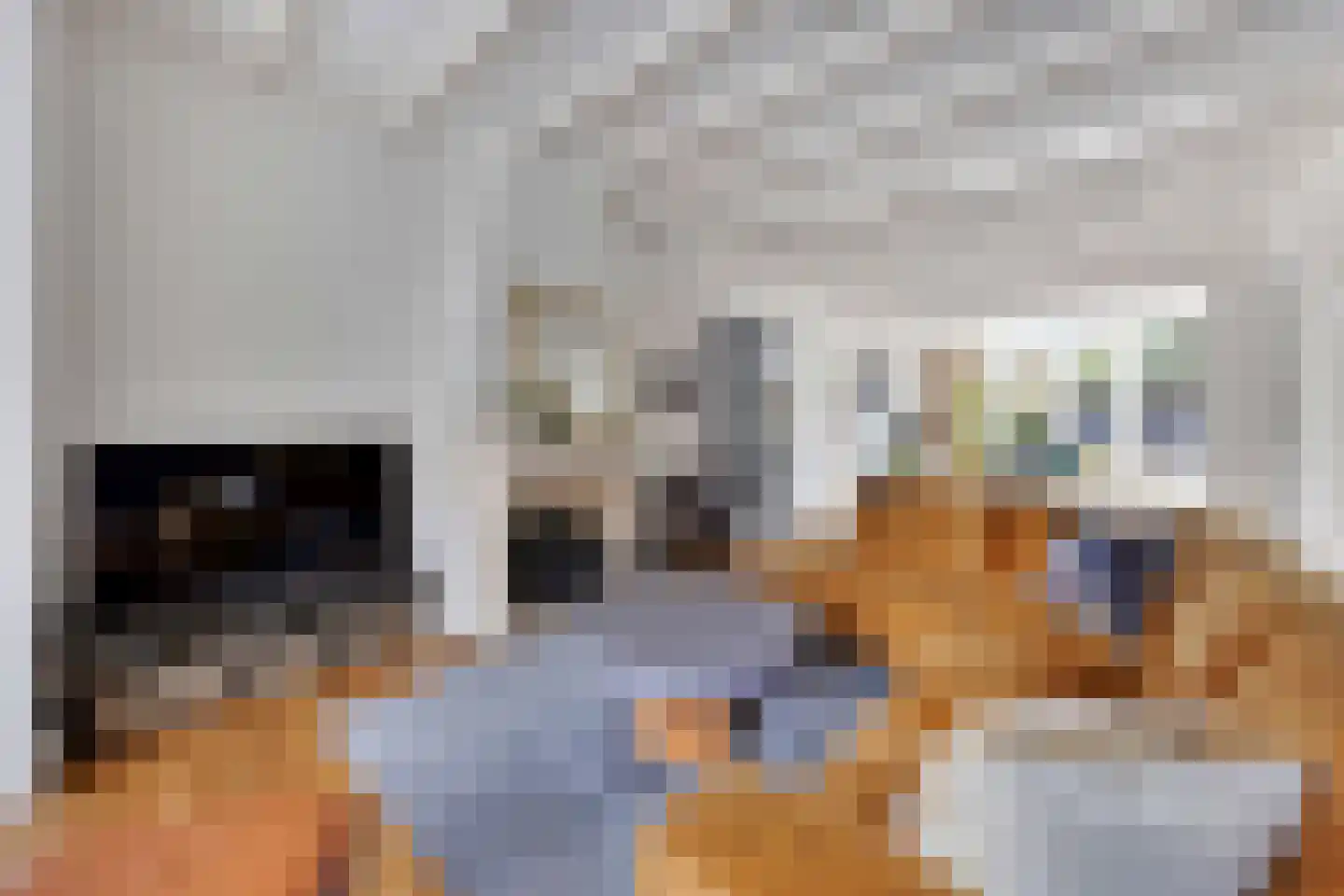 Santhorstlaan 11 Wassenaar thumbnail 10