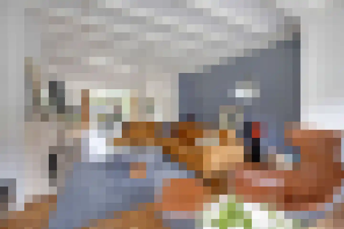 Santhorstlaan 11 Wassenaar thumbnail 13