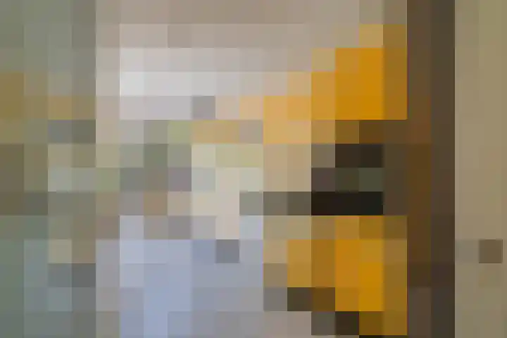 Santhorstlaan 13 Wassenaar thumbnail 17