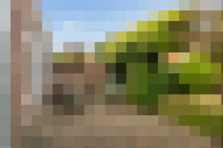 Santhorstlaan 13 Wassenaar thumbnail 19