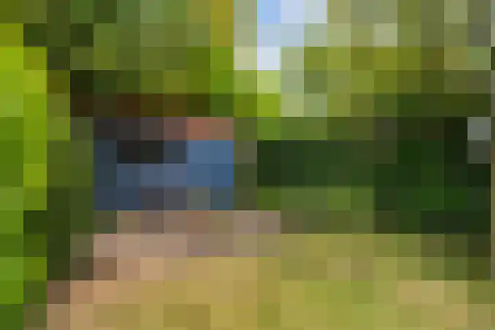 Santhorstlaan 13 Wassenaar thumbnail 23
