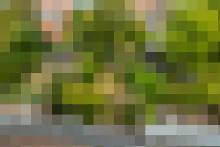 Santhorstlaan 13 Wassenaar thumbnail 30