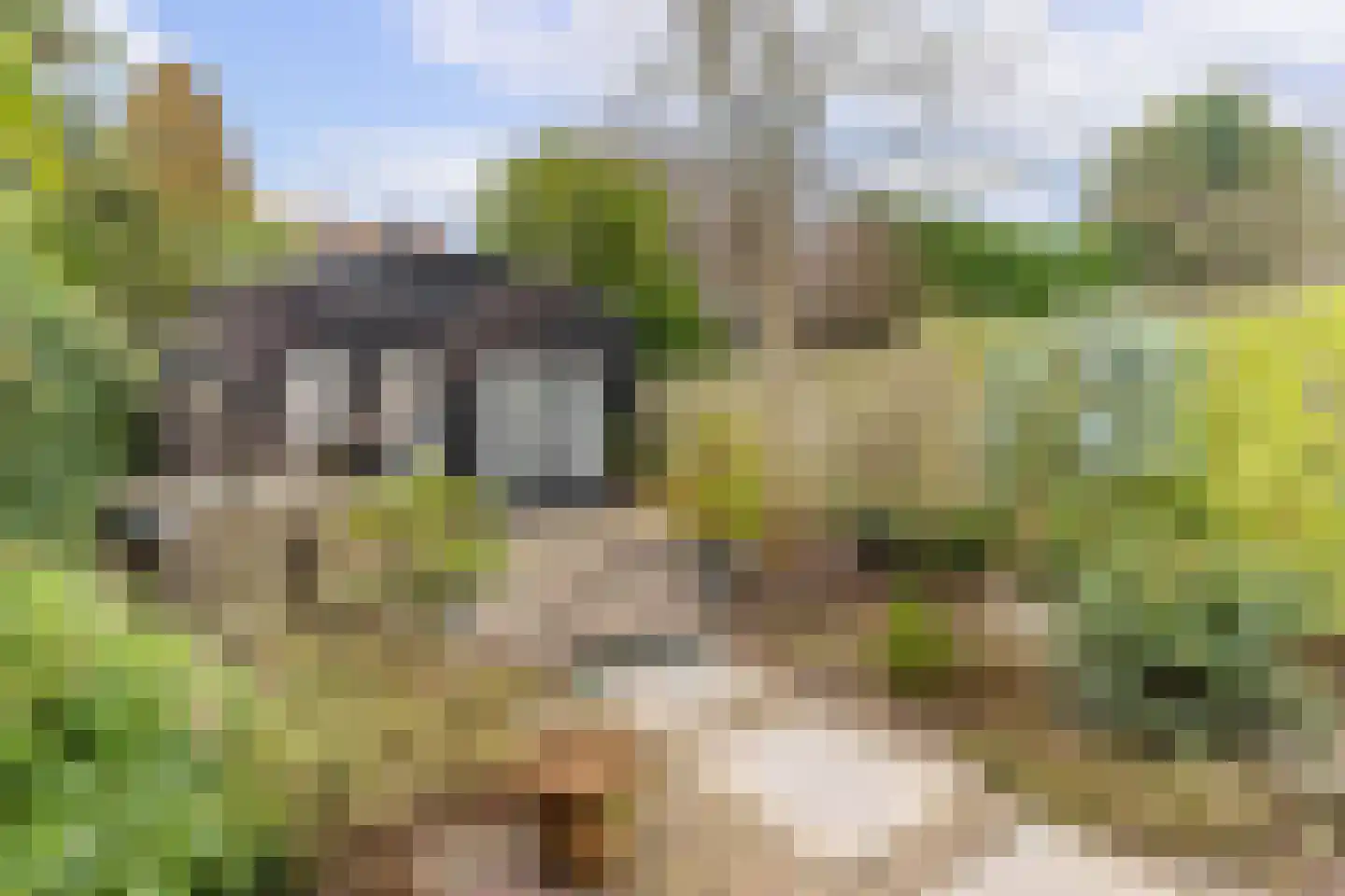 Santhorstlaan 15 Wassenaar thumbnail 18