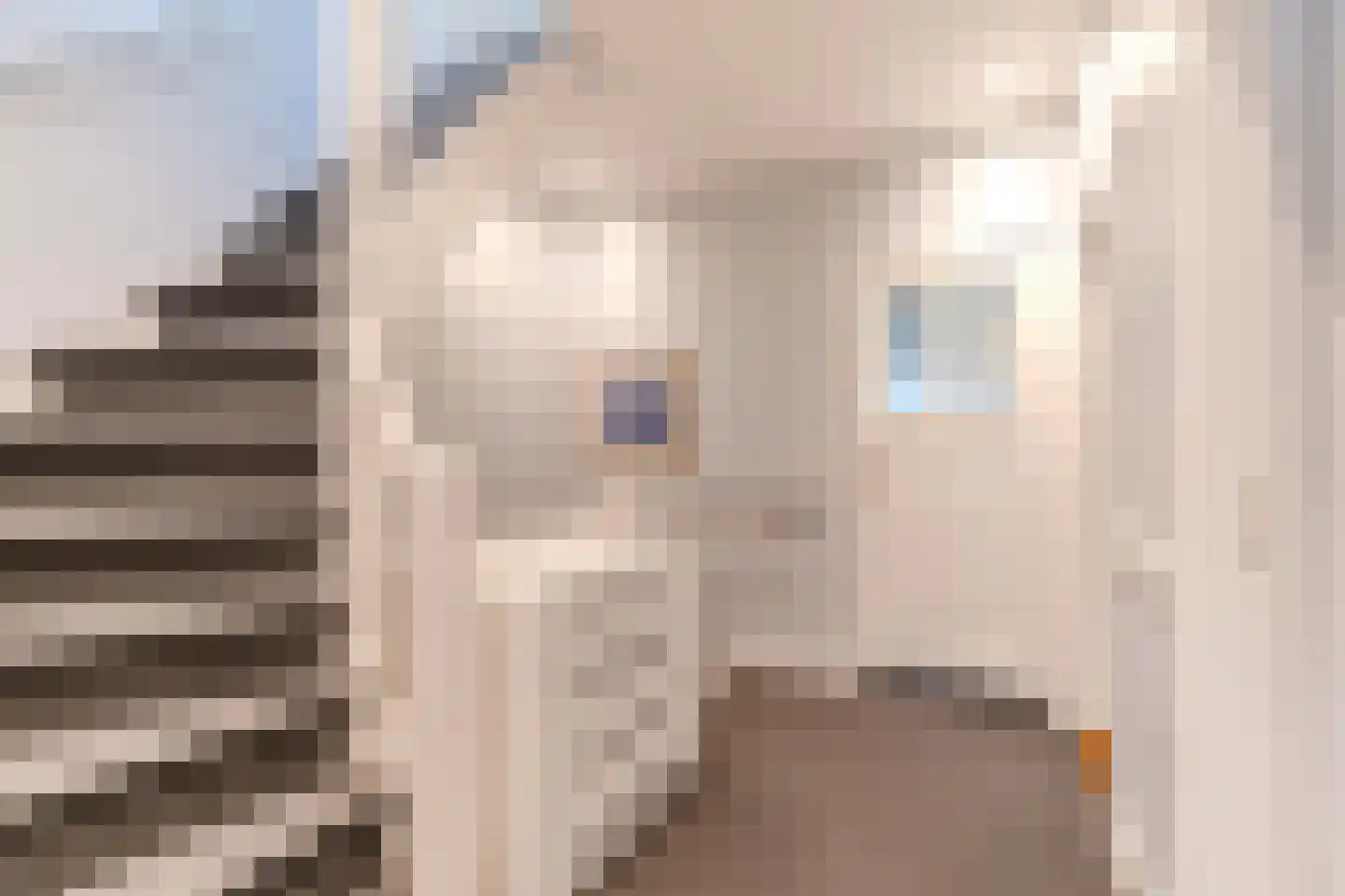 Santhorstlaan 15 Wassenaar thumbnail 20