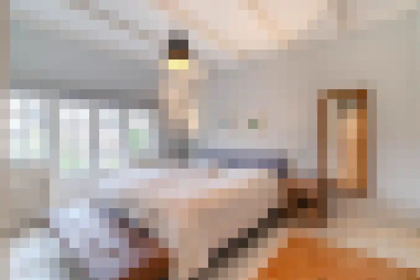 Santhorstlaan 15 Wassenaar thumbnail 23