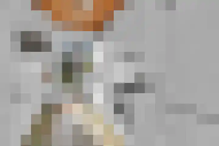 Santhorstlaan 22 Wassenaar thumbnail 11