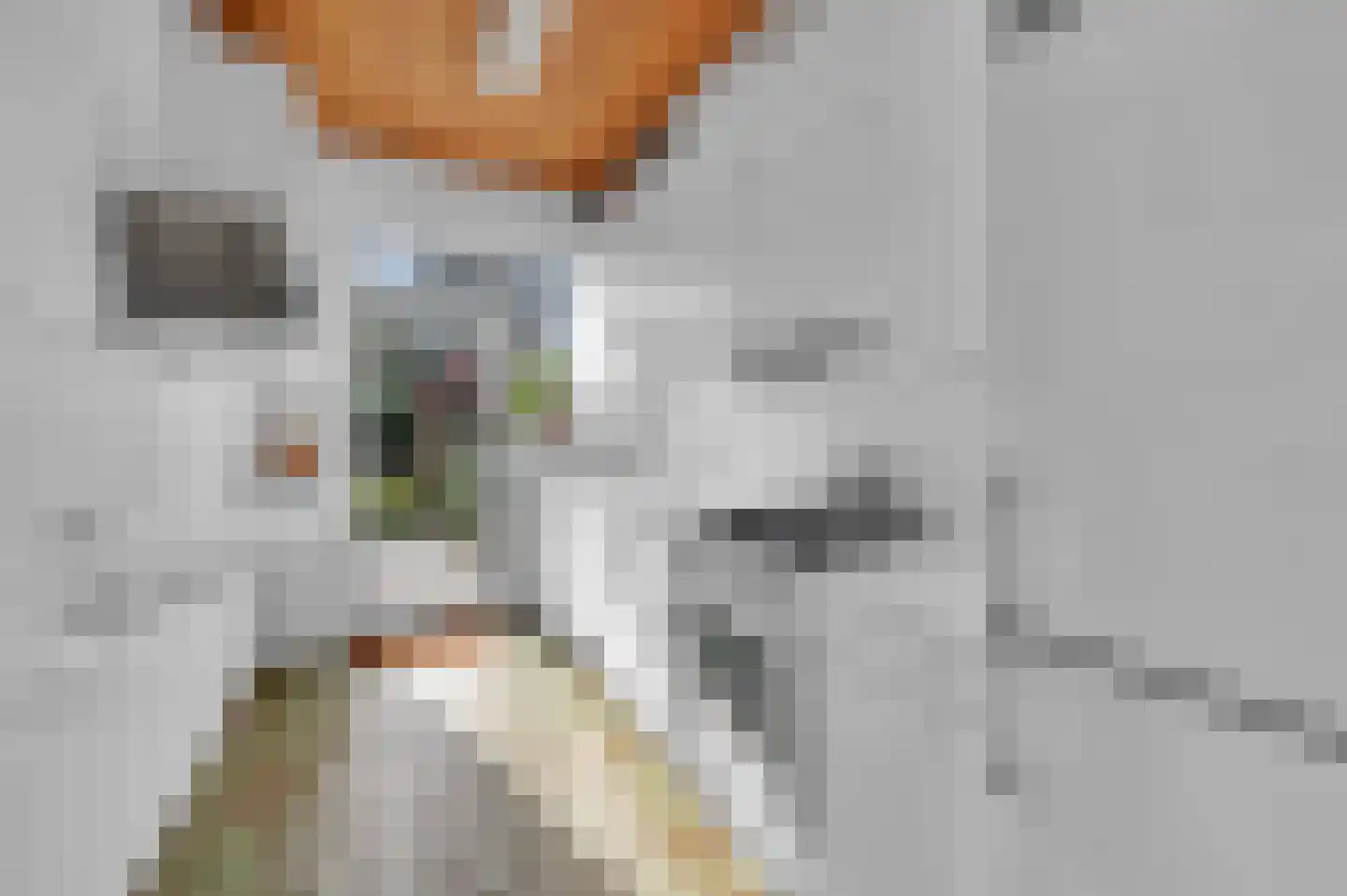 Santhorstlaan 22 Wassenaar thumbnail 12