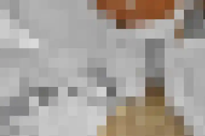Santhorstlaan 22 Wassenaar thumbnail 12