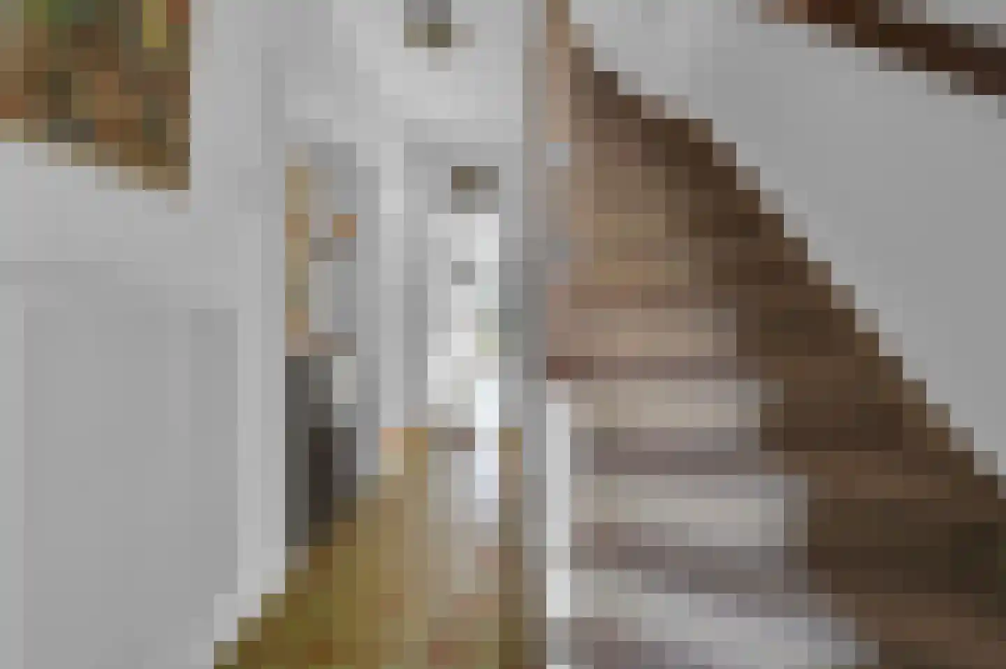 Santhorstlaan 22 Wassenaar thumbnail 4