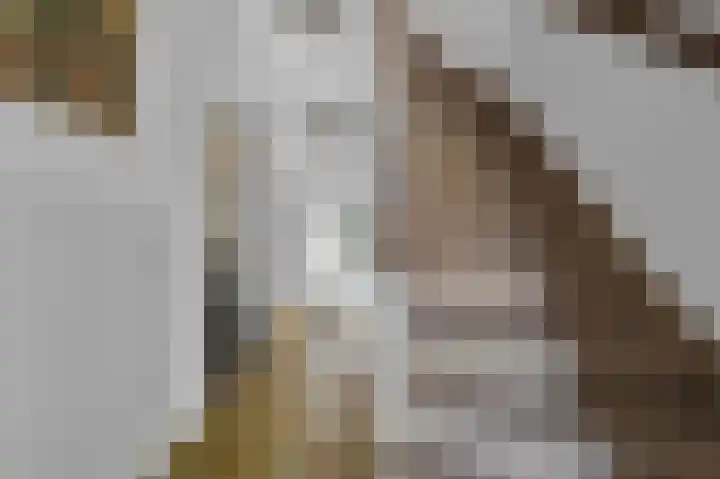 Santhorstlaan 22 Wassenaar thumbnail 4