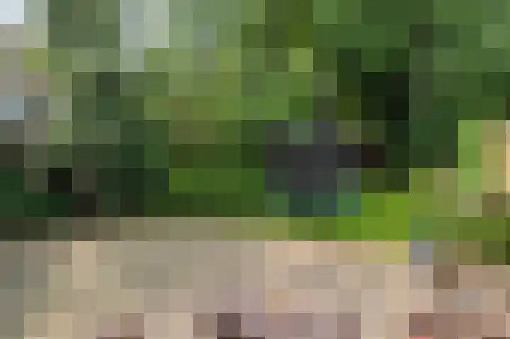 Santhorstlaan 52 Wassenaar thumbnail 13