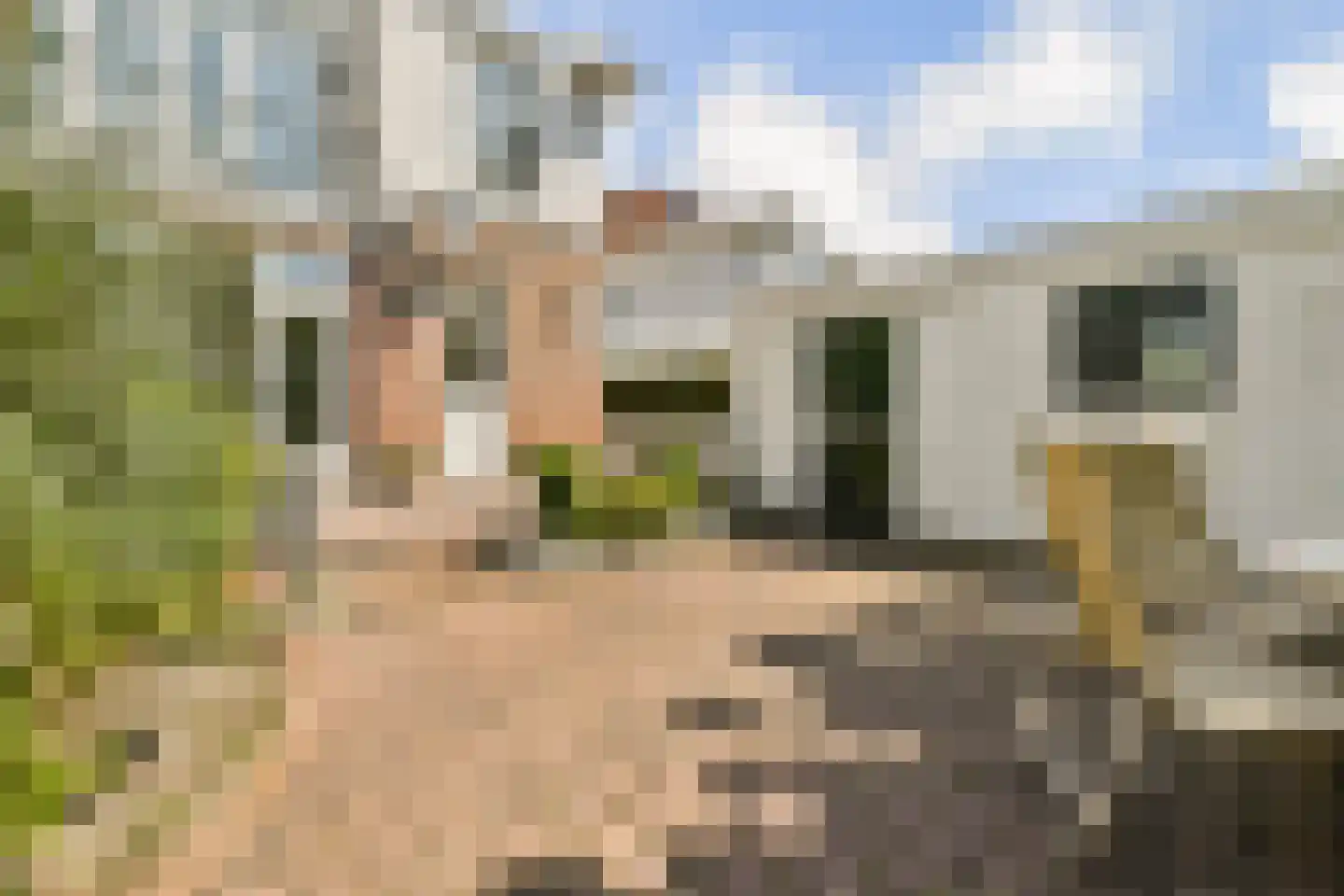 Santhorstlaan 80 Wassenaar thumbnail 10