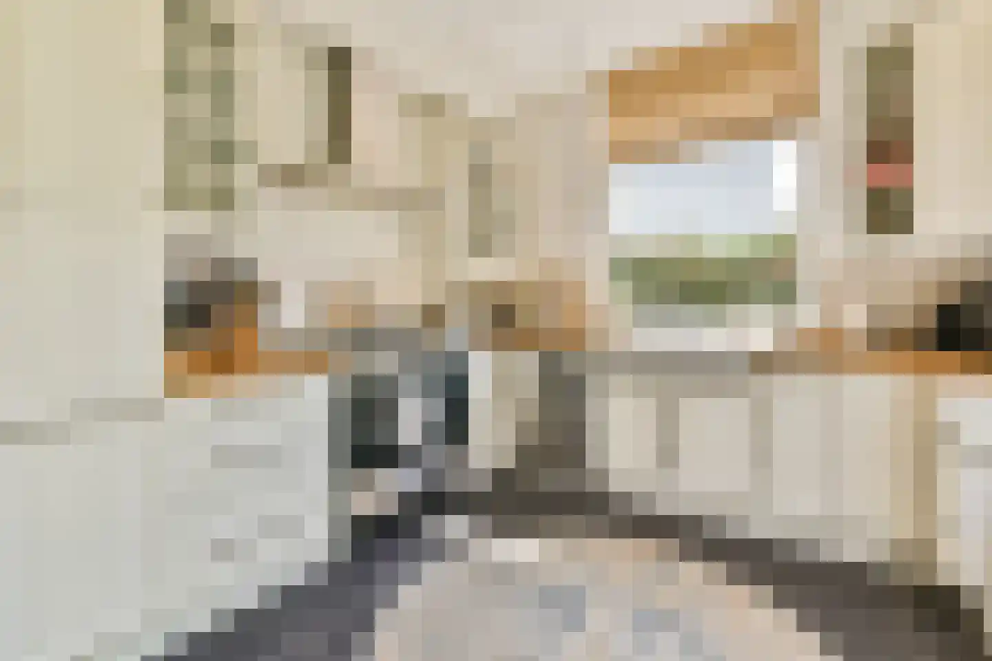 Santhorstlaan 80 Wassenaar thumbnail 7