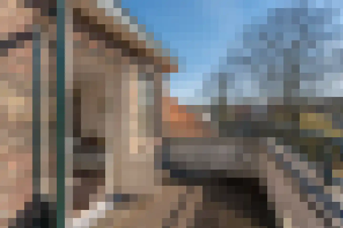 Santhorstlaan 87 Wassenaar thumbnail 39