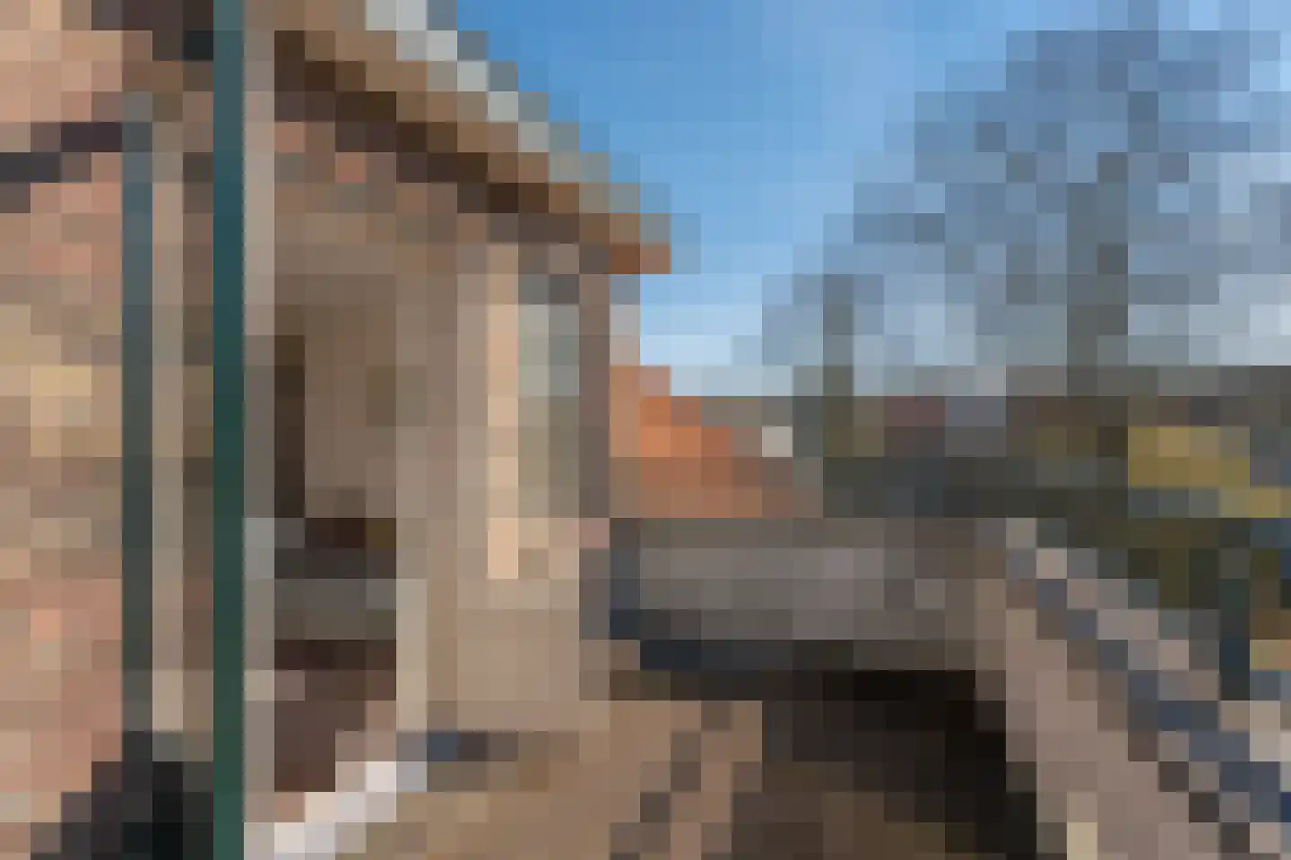 Santhorstlaan 87 Wassenaar thumbnail 39