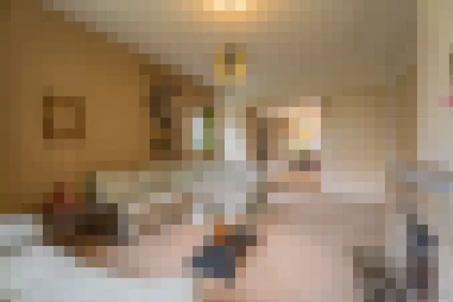 Santhorstlaan 87 Wassenaar thumbnail 4