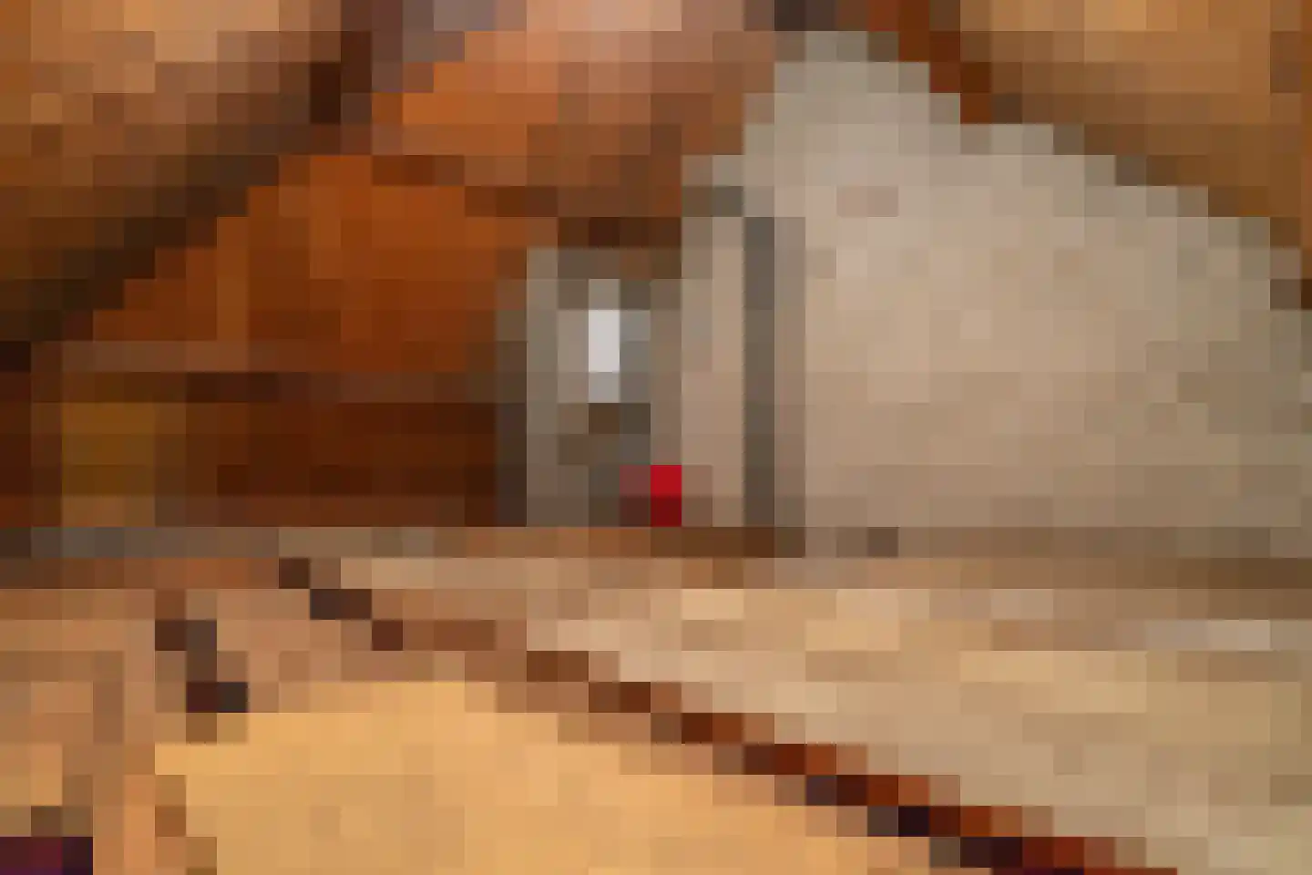 Santhorstlaan 87 Wassenaar thumbnail 41