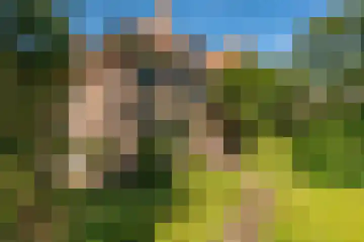 Santhorstlaan 87 Wassenaar thumbnail 46