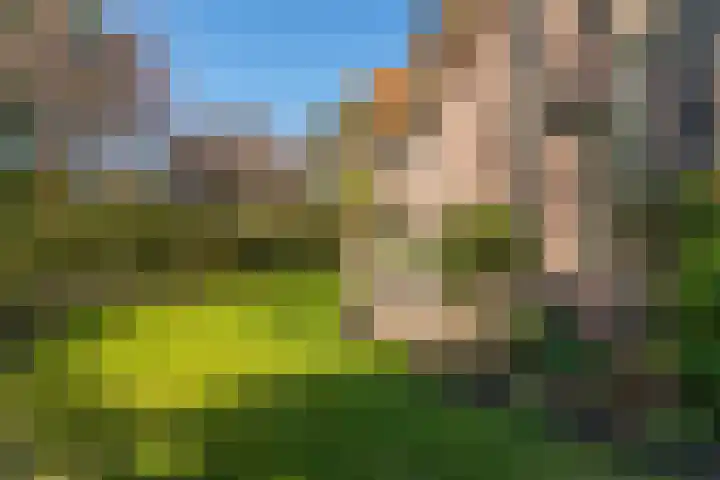 Santhorstlaan 87 Wassenaar thumbnail 47