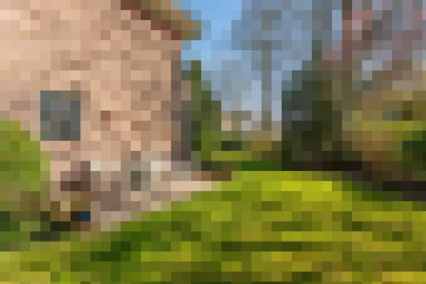Santhorstlaan 87 Wassenaar thumbnail 48