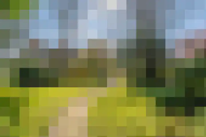 Santhorstlaan 87 Wassenaar thumbnail 49