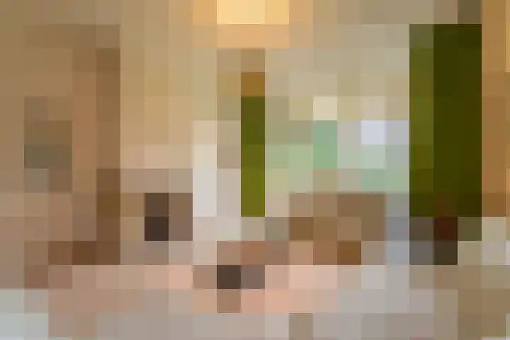 Santhorstlaan 87 Wassenaar thumbnail 5