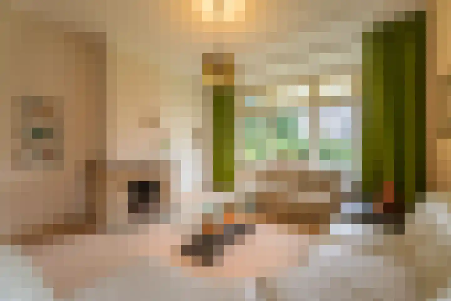 Santhorstlaan 87 Wassenaar thumbnail 5