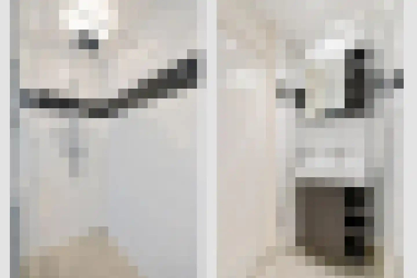 Santiagodreef 16 Utrecht thumbnail 25