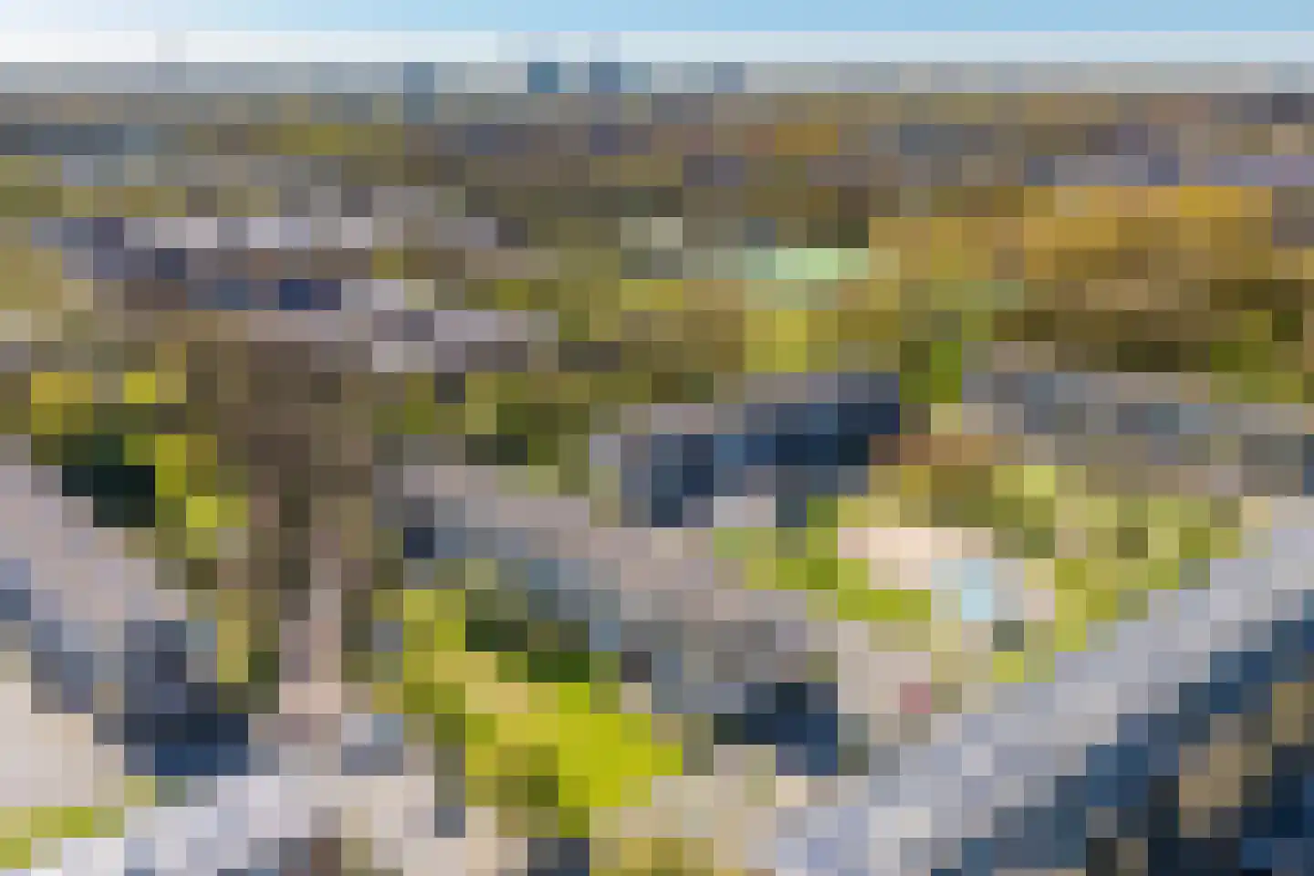 Santiagodreef 16 Utrecht thumbnail 30