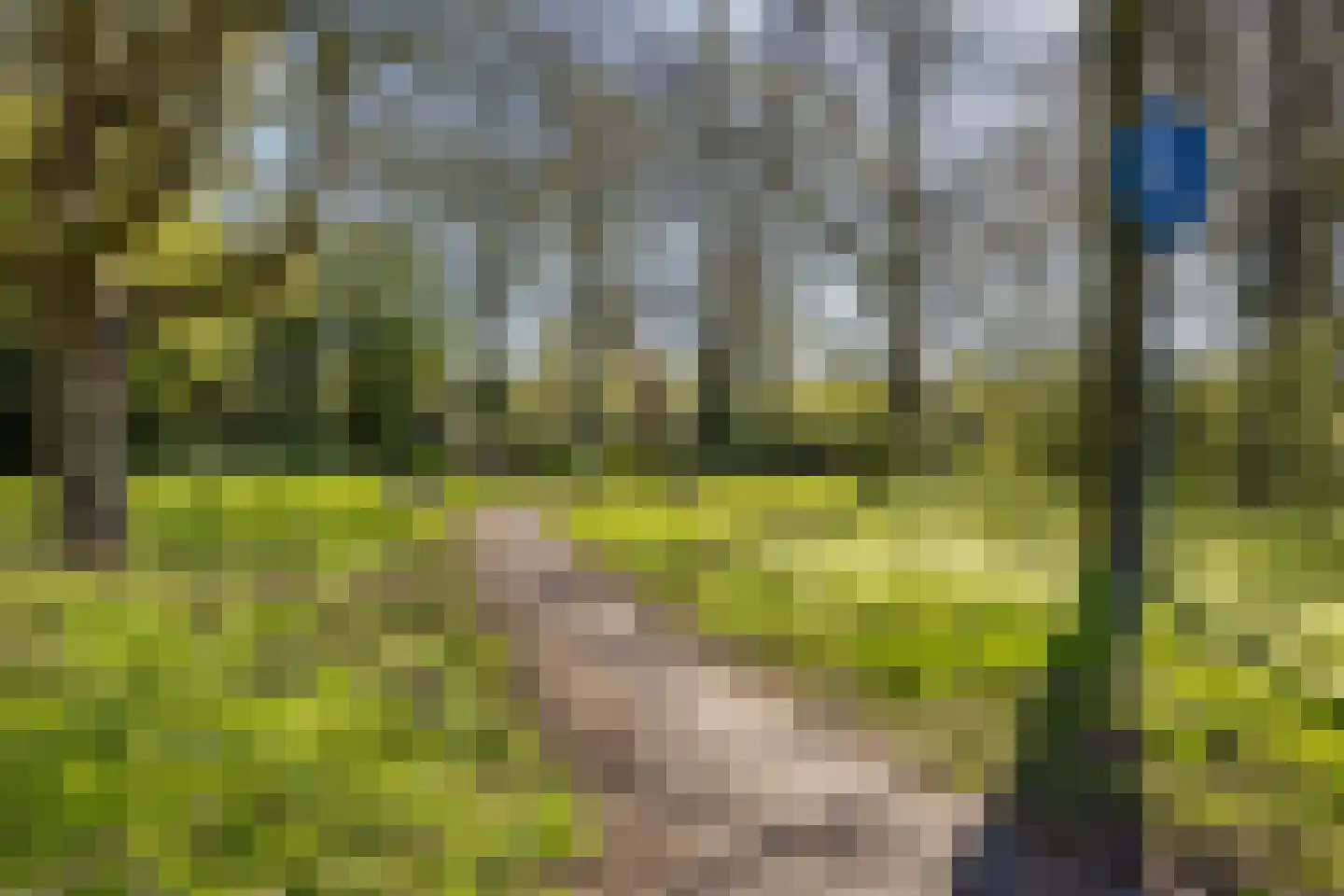 Santiagodreef 16 Utrecht thumbnail 32
