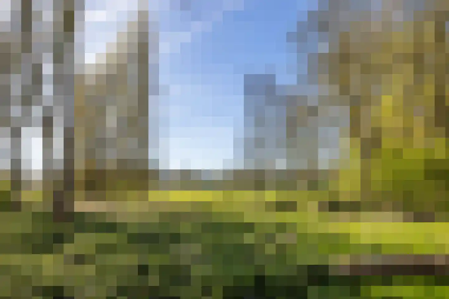 Santiagodreef 16 Utrecht thumbnail 33