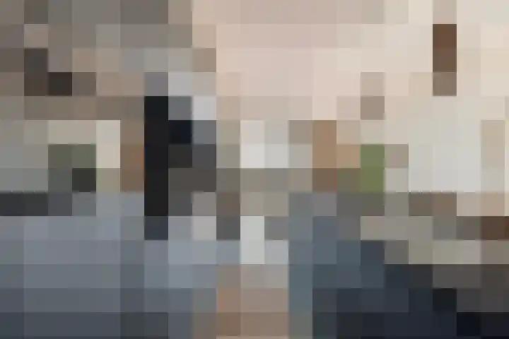Santplaet 206 Maassluis thumbnail 19