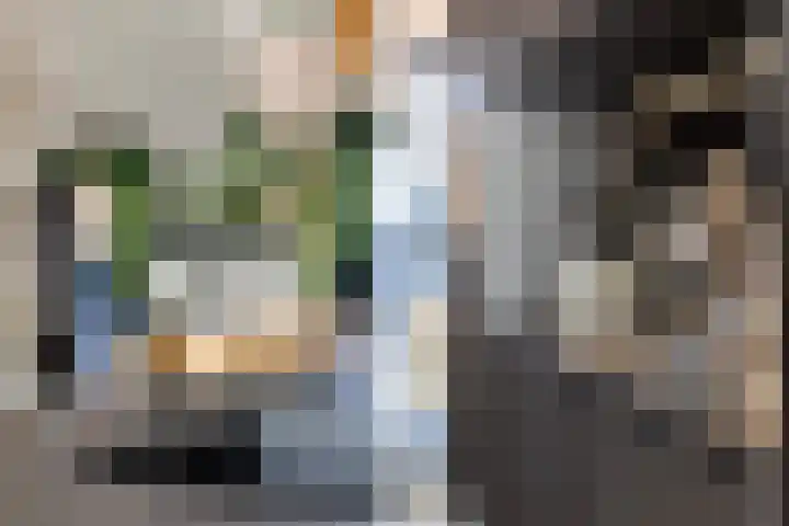 Santplaet 206 Maassluis thumbnail 20