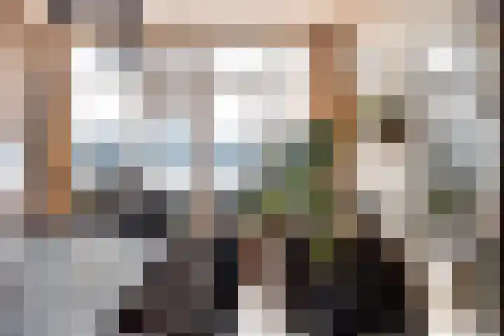 Santplaet 206 Maassluis thumbnail 22