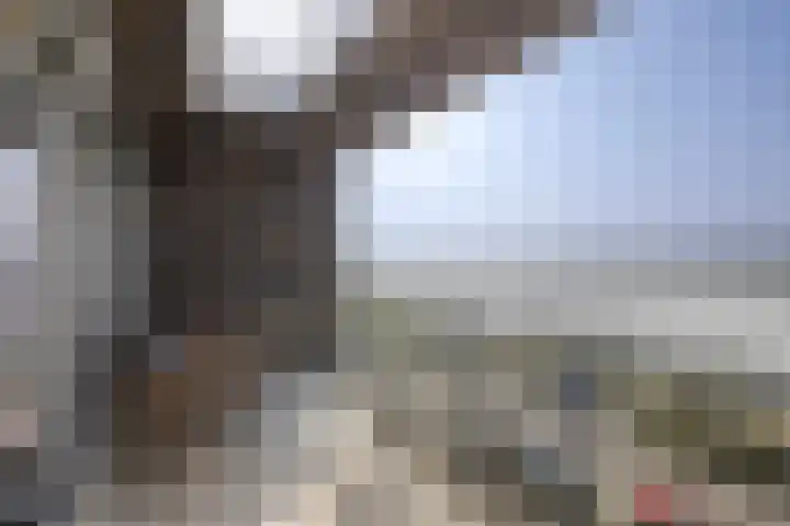 Santplaet 206 Maassluis thumbnail 33