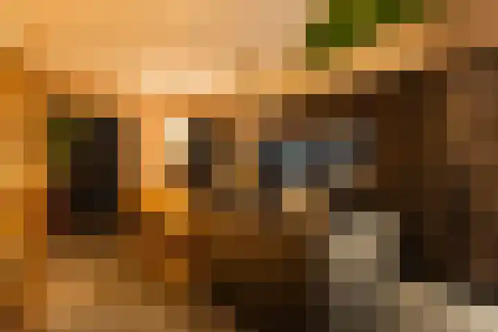 Santplaet 206 Maassluis thumbnail 67