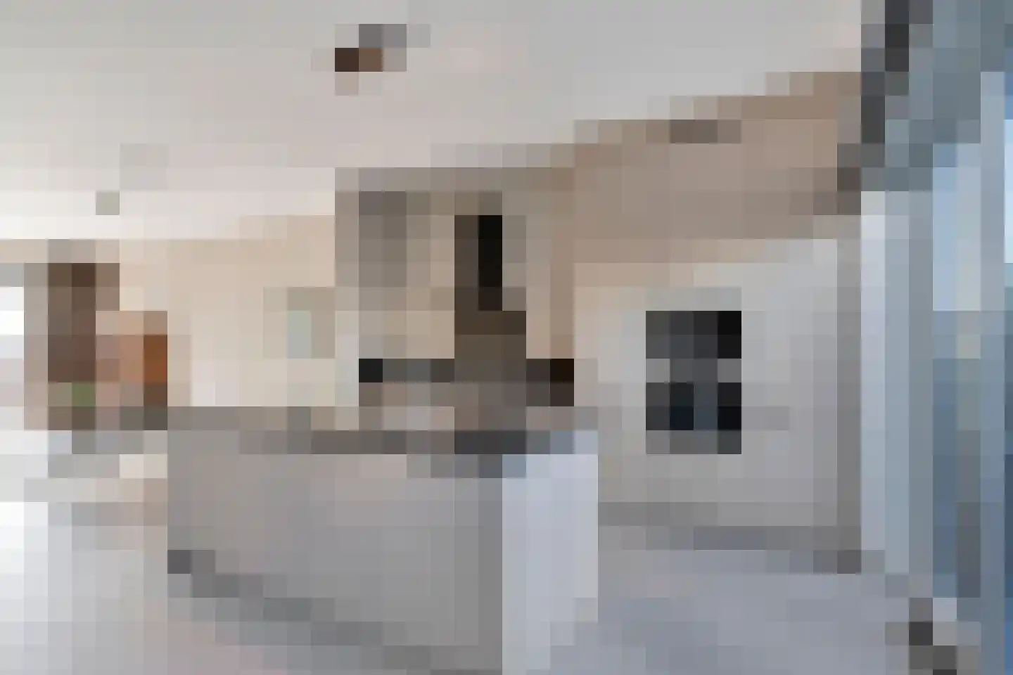 Santplaet 226 Maassluis thumbnail 21