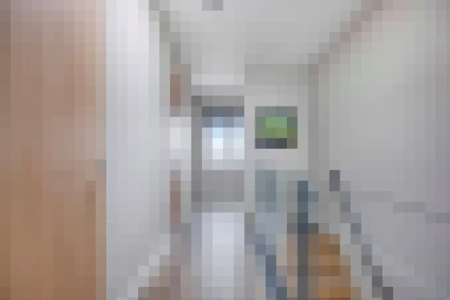 Santplaet 226 Maassluis thumbnail 30