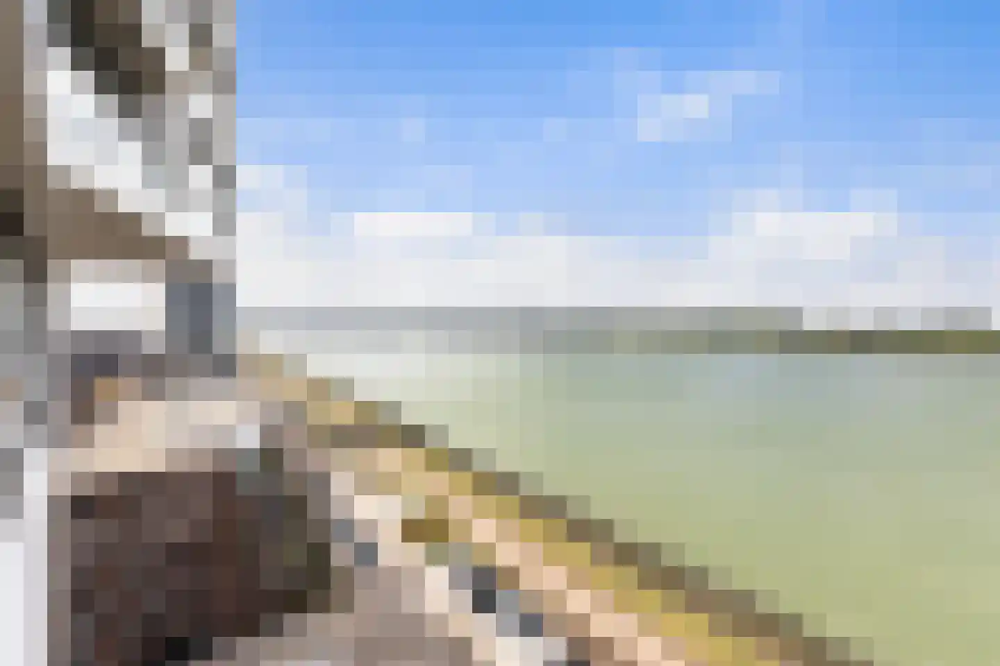 Santplaet 306 Maassluis thumbnail 18