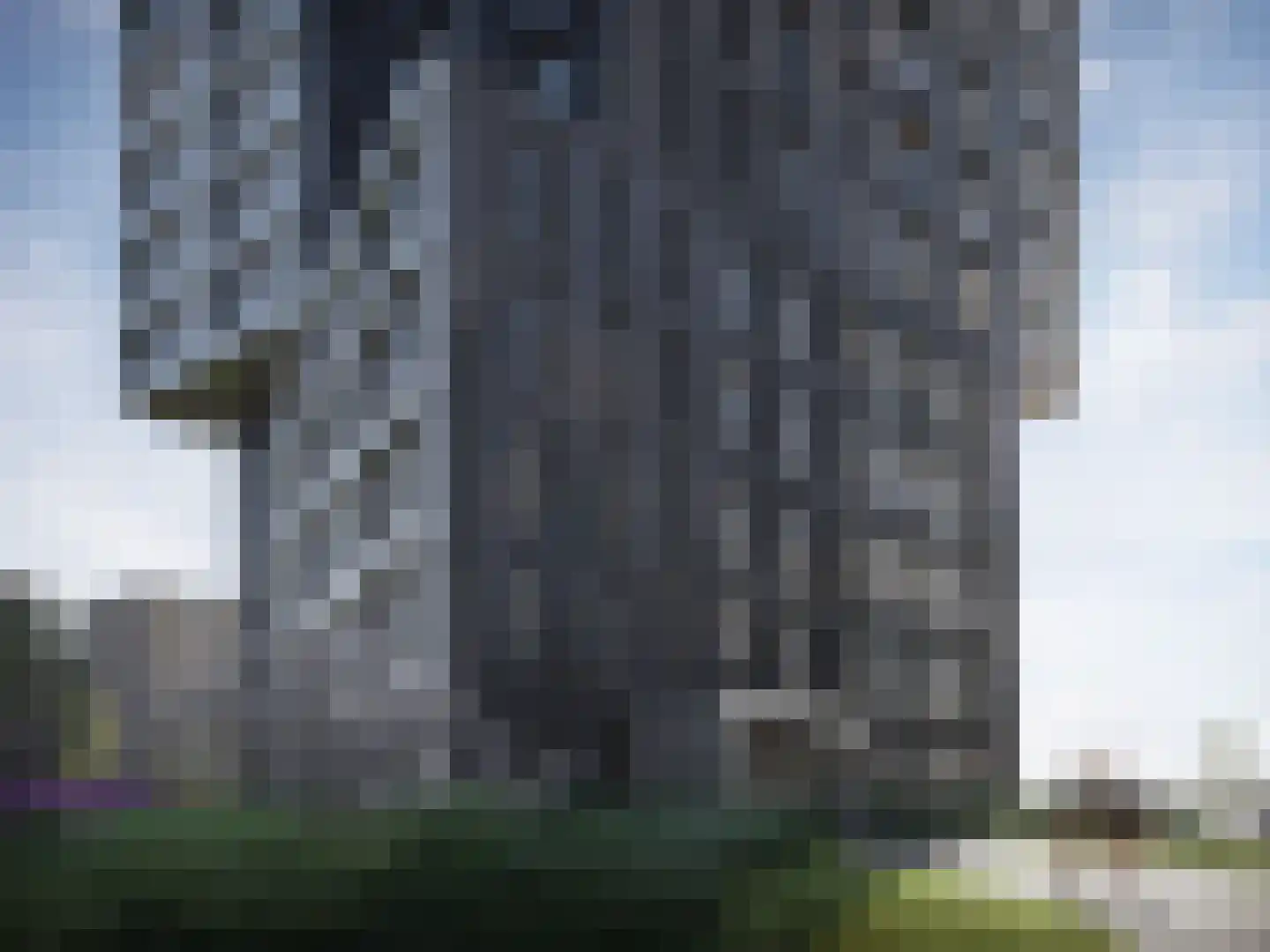 Santplaet 334 Maassluis thumbnail 7