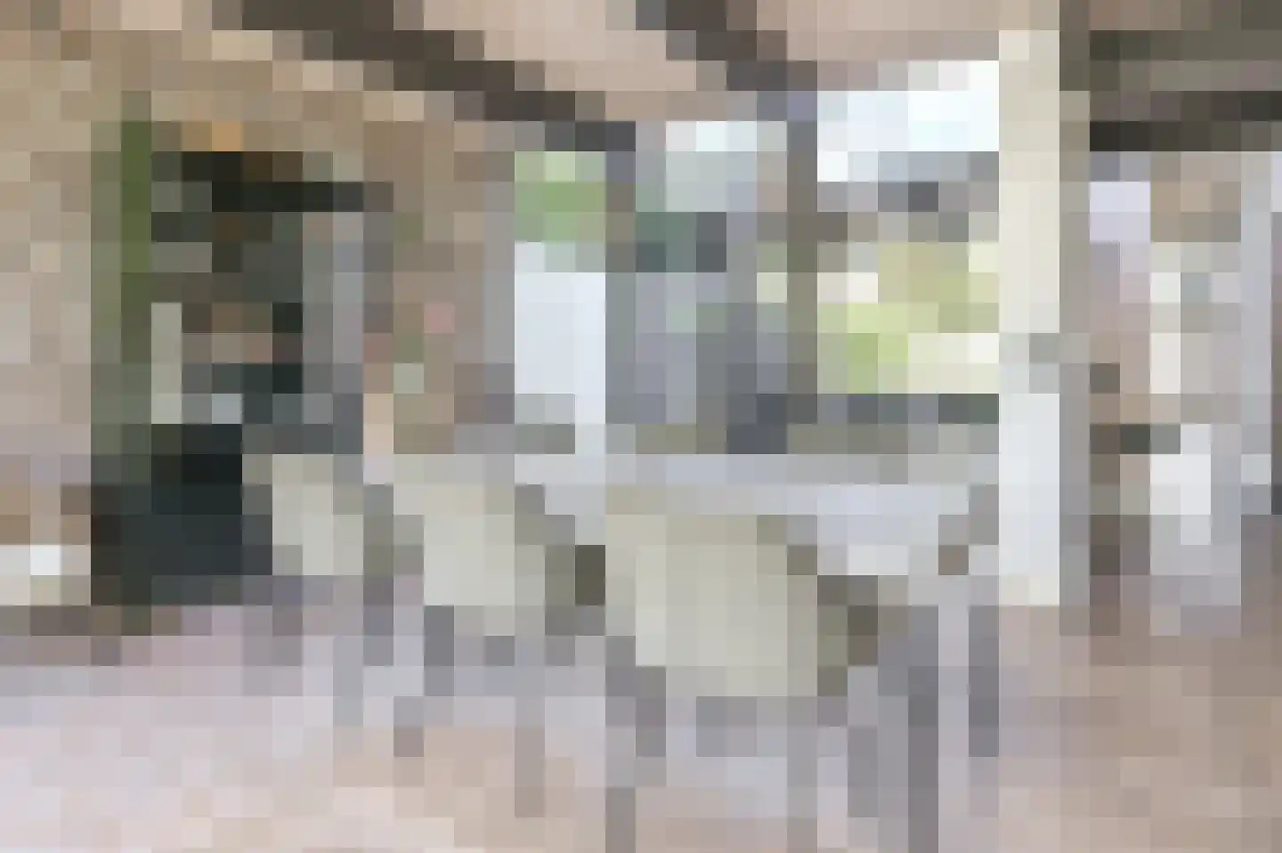 Santpoorterstraat 42 Haarlem thumbnail 21